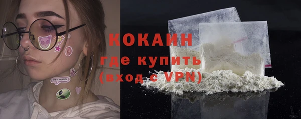 mdpv Заводоуковск