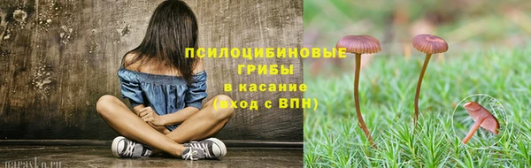 прущие крисы Елабуга