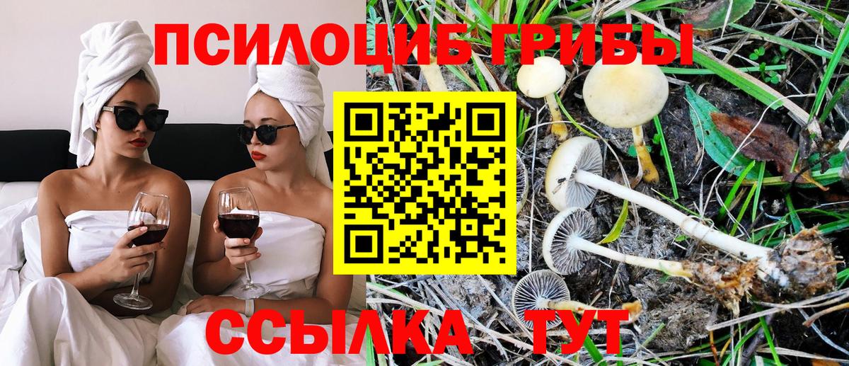 Галлюциногенные грибы Psilocybe  Вход с VPN  Зерноград 