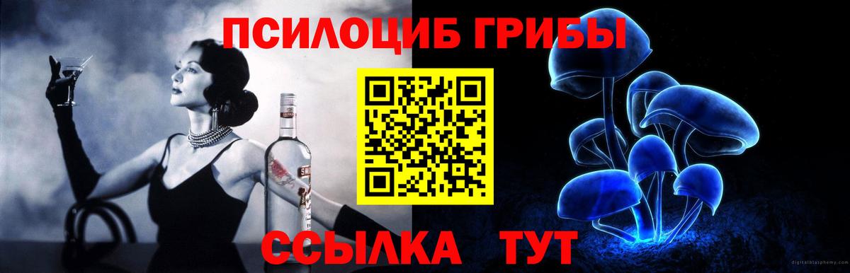 Галлюциногенные грибы Psilocybe Зерноград